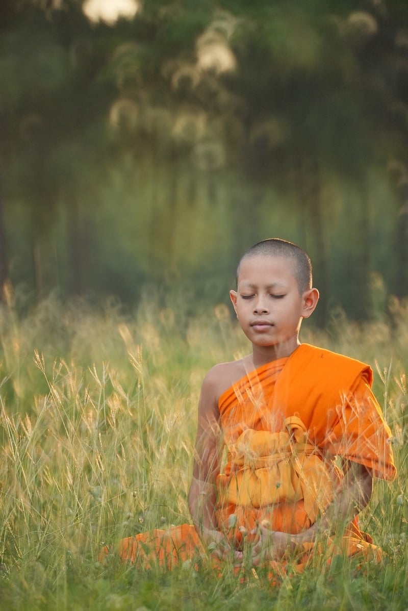 Qi Gong Meditation Yoga